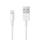 Apple iPad/iPhone Lightning Connector kabel (Bulk)